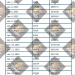 photo_2025-02-05-15-2