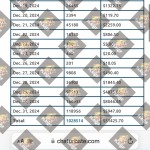 photo_2025-02-05-15-3